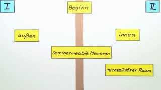 DonnanGleichgewicht  Chemie  Physikalische Chemie [upl. by Okun]