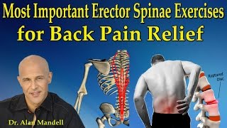 Most Important Erector Spinae Exercises for Back Pain Relief  Dr Mandell [upl. by Lundell]