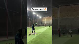 Super catch 🔥 shorts indoorcricket cricketlover ytshorts tapeball trendingshort cricketshort [upl. by Arev]