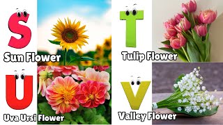 Flowers ABC Song for Kids  Phonics for Kids  English Alphabet Letters [upl. by Rhetta]