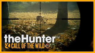 Buen Día desde Hirschfelden🦌🌿the hunter call of the wild🌿 [upl. by Itsa]