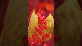 How Blood Flows Inside Your Body ANIMATION [upl. by Jarlath]