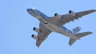 ANA Airbus A380 FLYING HONU JA381A TakeOff at Narita NRT [upl. by Ellezaj]