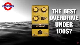 Drunk Beaver  Overdrive OD1 [upl. by Rocray]