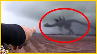 10 Godzilla na Vida Real Capturados na Câmera [upl. by Nhar396]