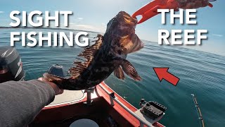 Lingcod and Rockfish Fishing FAST ACTION  Newport Oregon [upl. by Aicilec]