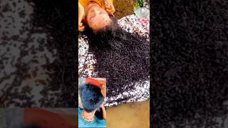 🤮Lice And Nits RemovalLice removal Home remedies 💯 shortsfeed shorts youtubeshorts ytshots [upl. by Ereveniug453]