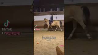 Fab ❤️❤️ cavaliere horse equestrian equitation riding [upl. by Merfe180]