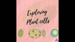 Plant Cells [upl. by Ayifa]