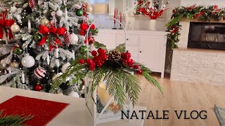 DECORIAMO CASA PER IL NATALE Pulire e Decorare Con Me  Natale [upl. by Atinej663]