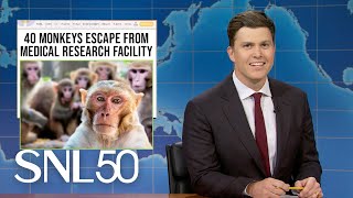 Weekend Update 43 Monkeys Escape Research Facility Moo Dengs New Rival  SNL [upl. by Ardnot]