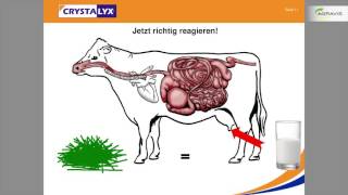 Mäßige Silagequalitäten Mit Crystalyx richtig reagieren [upl. by Iilek]