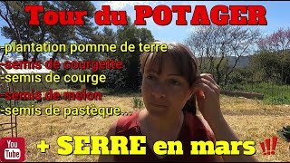 Tour du potager  serre en MARS  Semis  plantation [upl. by Attenohs]