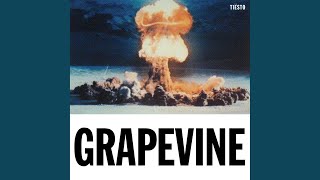 Grapevine Extended Mix [upl. by Ayot]