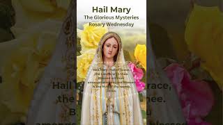 Hail Mary  Rosary Prayer  Rosary Wednesday  Glorious Mysteries  Ave Maria Piano hailmary [upl. by Gittle]