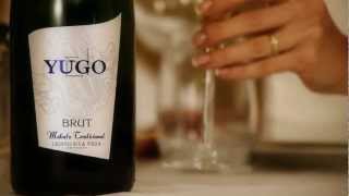 SPOT quotYUGO BRUTquot 2012 de Bodegas Cristo de la Vega [upl. by Nagaek]