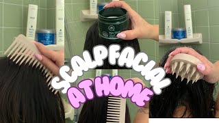 SCALP EXFOLIATION AT HOME  DO A SCALP FACIAL AT HOME  TEA TREE SCALP SCRUB [upl. by Elamor]