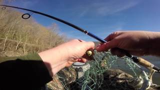 PreSpawn Smallmouth fishing [upl. by Tracee]