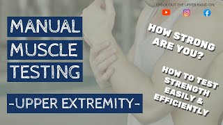 Manual Muscle Testing MMT For The Upper Extremity [upl. by Bennion676]