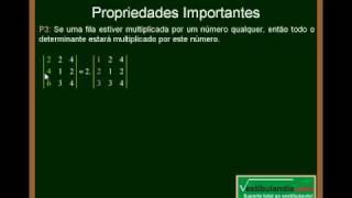 Matemática  Aula 20  Determinantes  Parte 8 [upl. by Annerahs]