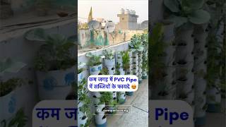 कम जगह में PVC Pipe में सब्ज़ियों के ये फायदे जान लो 😍 8527353130 [upl. by Nollid345]