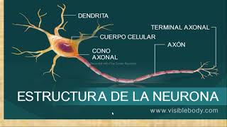 BIOLOGÍA Semana 11 IDEPUNP Septiembre diciembre 2022 [upl. by Adnahcir]