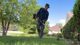 Satisfying Trimming For People Who Love Lawncare [upl. by Corly203]