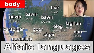 Altaic languages  word comparison with Map Body section [upl. by Lodge]