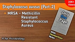 Staphylococcus aureus part2  MRSA Methicillin Resistant S aureus  Short answer question [upl. by Percy506]