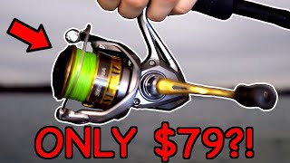 I Found the BEST Spinning Reel on the Market [upl. by Aronael]