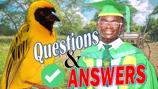 The Weaver Bird  questions and answers by Kofi Awoonor [upl. by Sanalda]