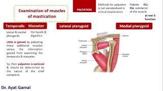 How to palpate muscles of mastication [upl. by Liahus]