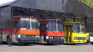 Икарус 256 по цене металлолома  забрали комплектный автобус Ikarus 256 изпод пресса [upl. by Sonni]