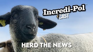 IncrediPol Cast  Episode 4 Herd The News [upl. by Sartin]