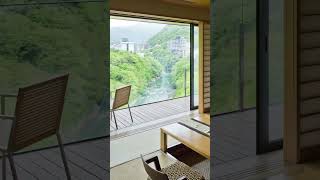 Top 5 Luxury Onsen Ryokans in Kinugawa Onsen Nikko Kinugawa kinugawaonsen JapanHotels ryokans [upl. by Coad735]