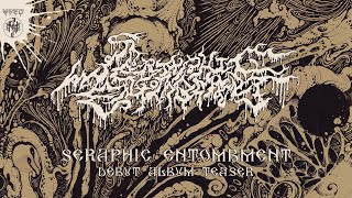 SERAPHIC ENTOMBMENT Debut Album Teaser Video [upl. by Nosemyaj247]