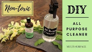 How to Make All Natural All Purpose Cleaner  DIY All Purpose Cleaner [upl. by Agretha]