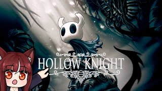 Hollow Knight  Those Pantheons They look so smoll [upl. by Ainafets]