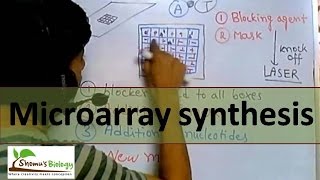 DNA Microarray synthesis [upl. by Ahsenid]