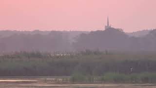 Frühmorgens auf dem Naturbeobachtungsturm im Peenetal zwischen Pinnow und Usedom 8September 2024 [upl. by Cnut358]