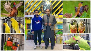 Multan Sunday Birds Rasheedabad 3 December 2023 latest Update​ I Part 2 [upl. by Amar]