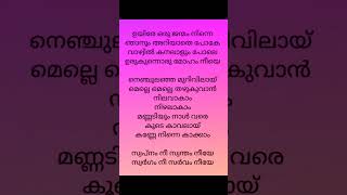 Uyire  song lyrics  songlyrics malayalam minnalmurali [upl. by Dyoll]