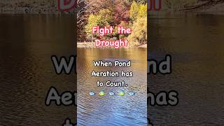 Avoid fish kills in ponds during droughts using pond aeration farmpond hydrologicaeration [upl. by Euridice]