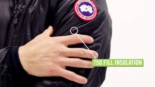 Canada Goose Mens Lodge Down Jacket [upl. by Nyliak]