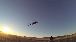 Antelope Capture NM 2014 [upl. by Sosthenna]