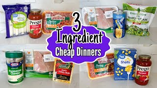 Quick amp Easy 3INGREDIENT Dinners You Can Make TONIGHT  Tasty Cheaper Meal Ideas  Julia Pacheco [upl. by Ekul]