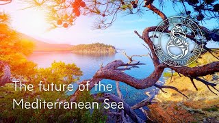 Simple Marine Biology lecture  the Future of the Mediterranean Sea [upl. by Laine]