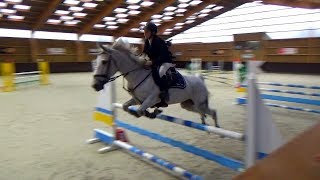 ■ 11112017  Tournée des As  LiverdyenBrie Indoor  As Poney 2 D  CSO  Clara Maitre [upl. by Kcirtapnhoj]