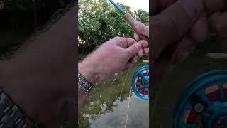 Fly Fishing Aldridge Creek Honey Holes Huntsville AL [upl. by Tace]