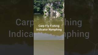 Carp Fly Fishing  How To Indicator Nymphing [upl. by Rolyks479]